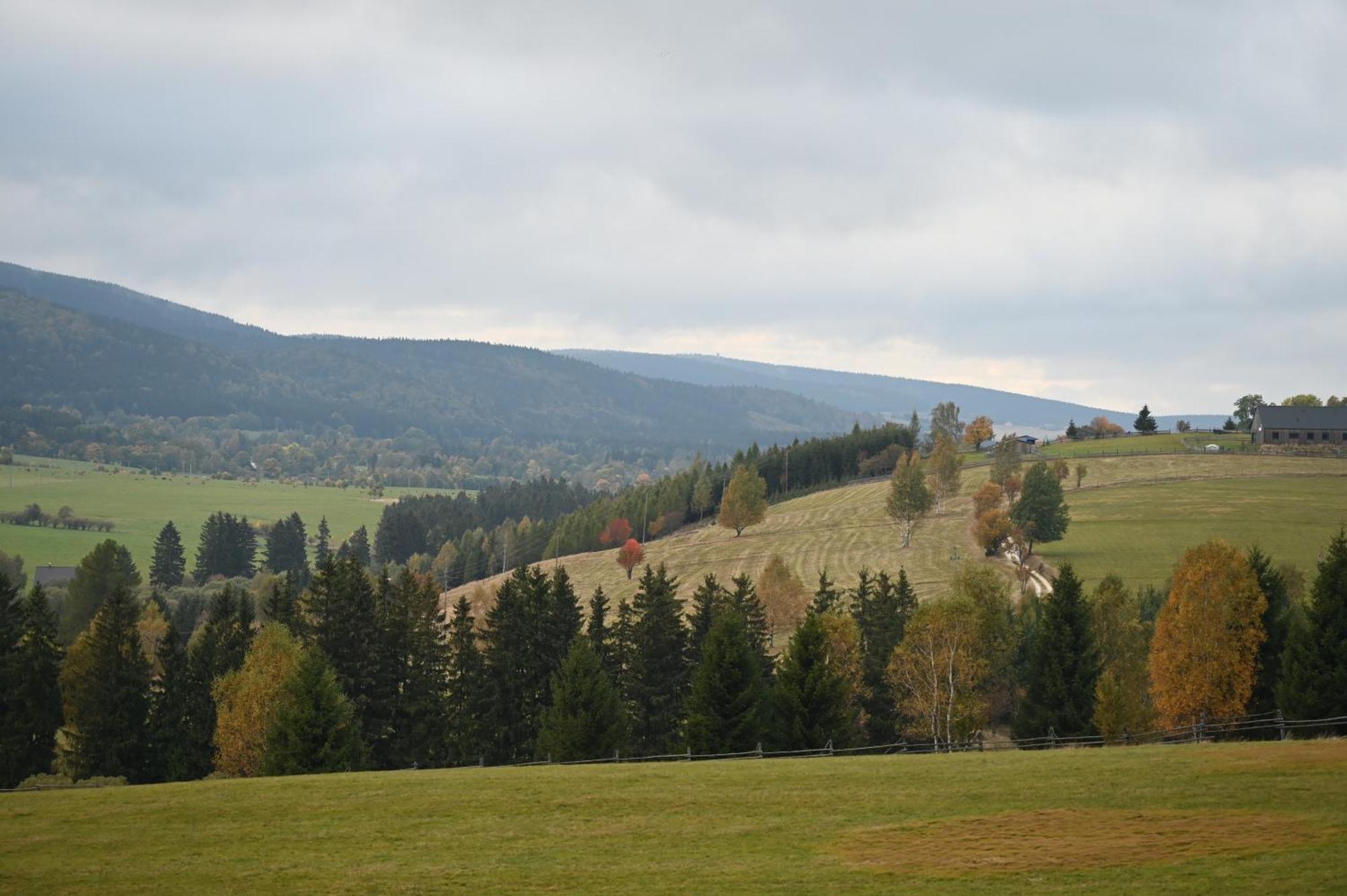 Apartment Straznica Pod Lasem *