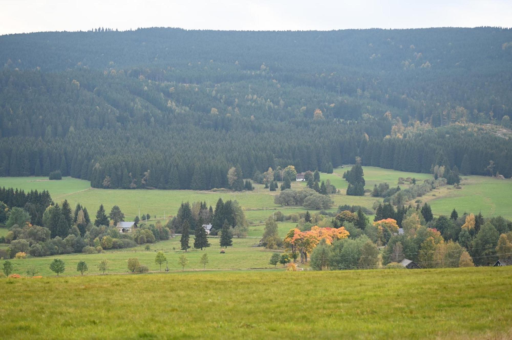 Apartment Straznica Pod Lasem *
