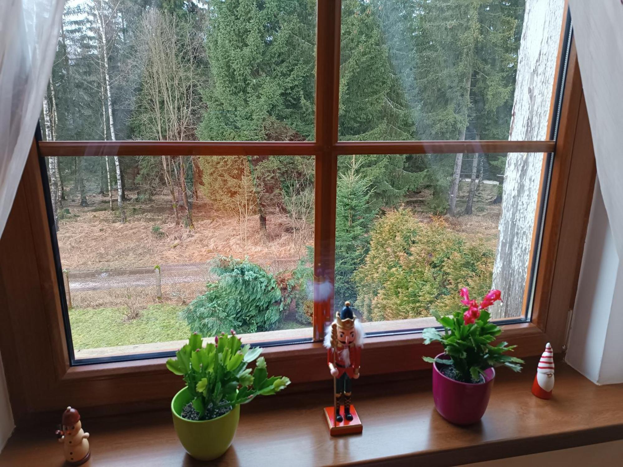 Straznica Pod Lasem Apartment