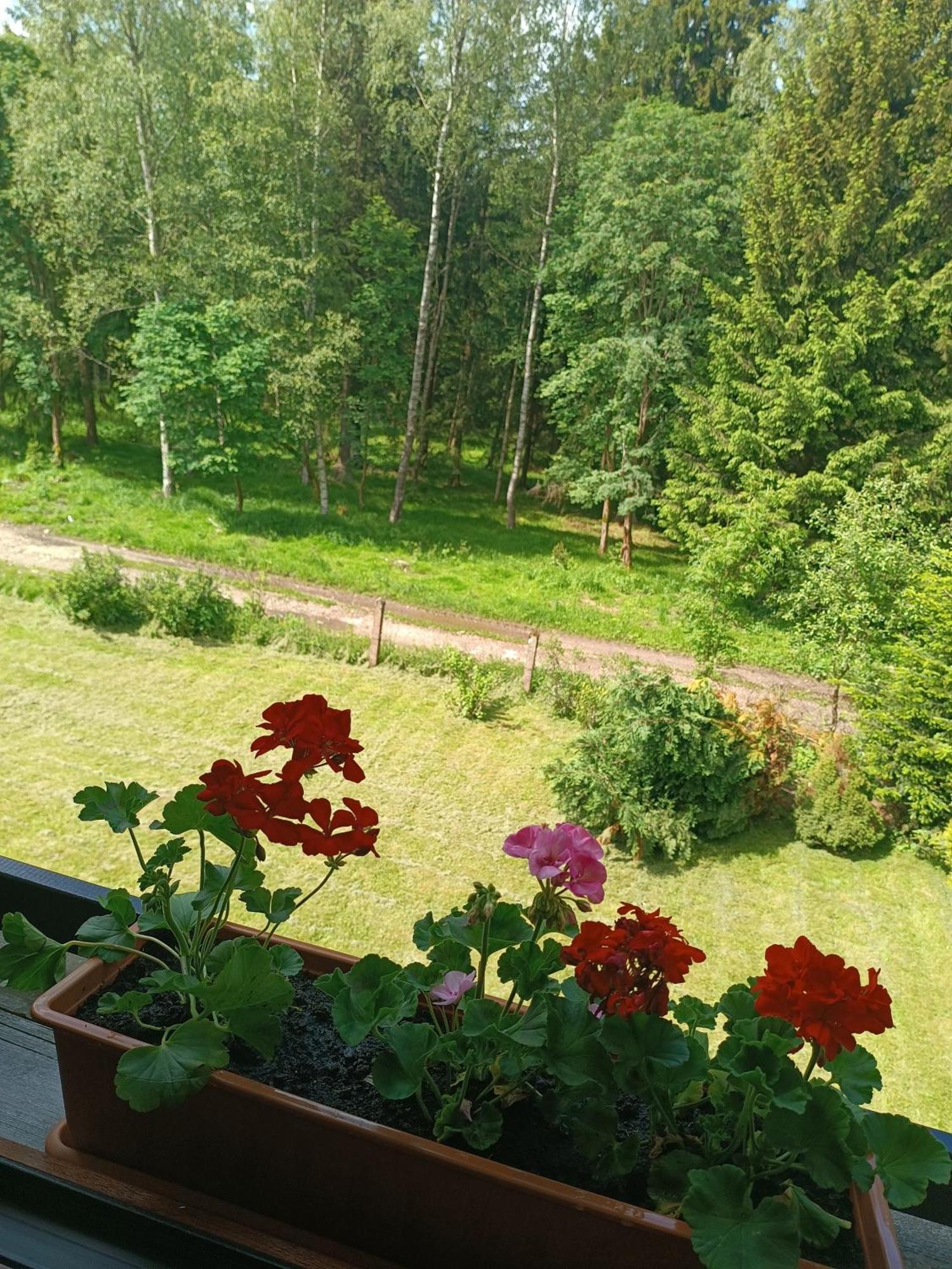 Straznica Pod Lasem *